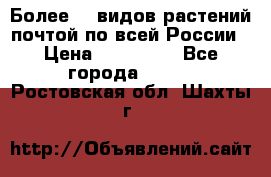 Более200 видов растений почтой по всей России › Цена ­ 100-500 - Все города  »    . Ростовская обл.,Шахты г.